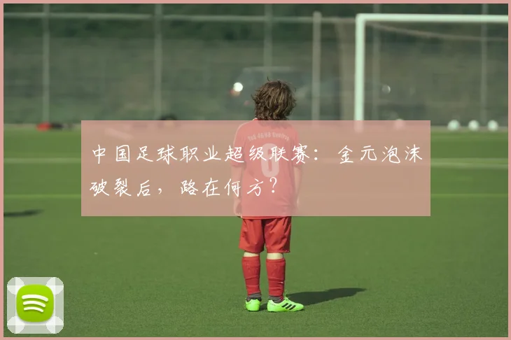 中国足球职业超级联赛：金元泡沫破裂后，路在何方？