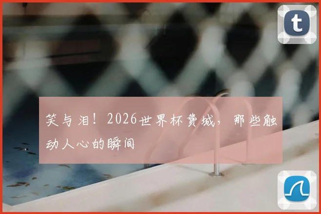 笑与泪！2026世界杯费城，那些触动人心的瞬间