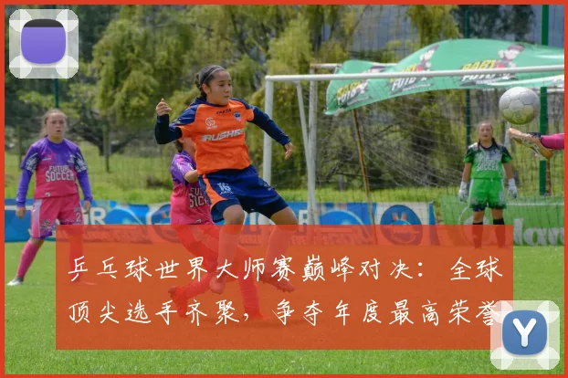 乒乓球世界大师赛巅峰对决：全球顶尖选手齐聚，争夺年度最高荣誉