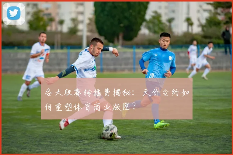 各大联赛转播费揭秘:天价合约如何重塑体育商业版图?