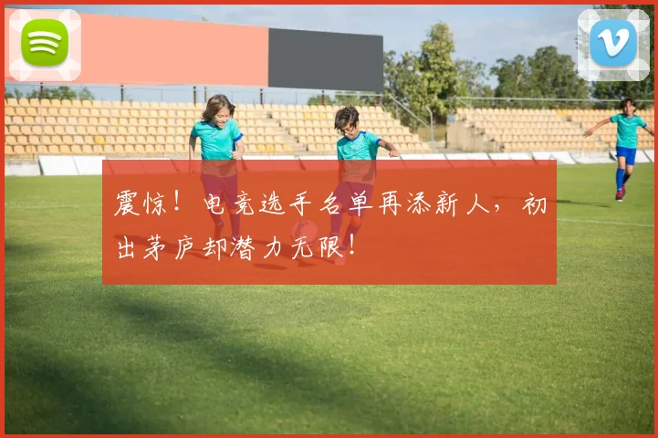 震惊!电竞选手名单再添新人,初出茅庐却潜力无限!